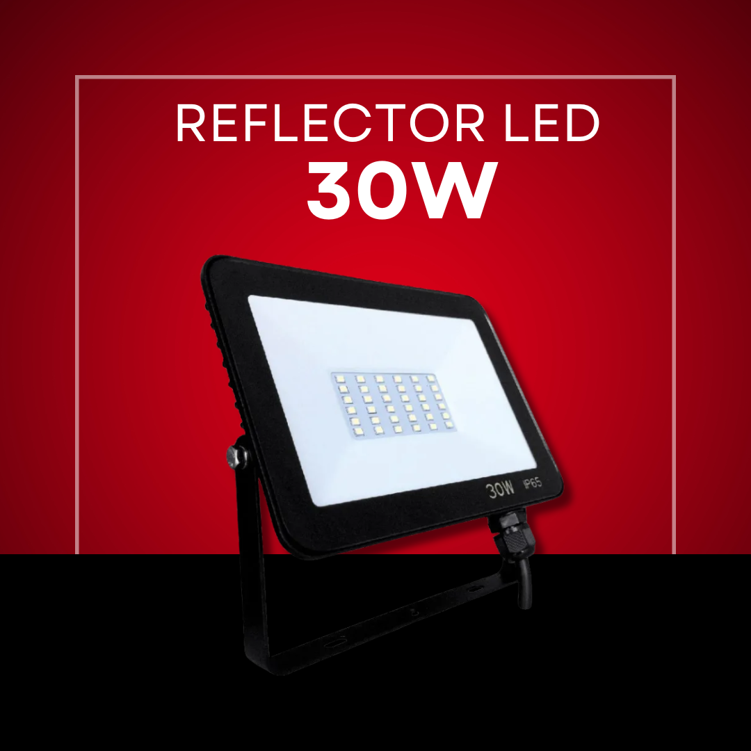 REFLECTOR LED 30W